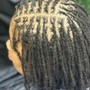 Starter locs