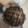 2 strand Twists (not locs)