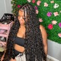 Medium Boho Knotless with virgin curly human hair $260 ($20 deposit Required)