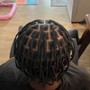 Starter loc w/2 strand twist