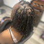 Starter Locs