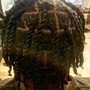 Men’s Cornrows/Stitch Braids