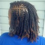 Loc Maintenance/Retwist