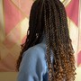 Back-To-School Hair Raffle (1 Entry)