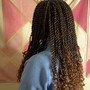 Back-To-School Hair Raffle (1 Entry)