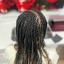 Feed in Braids 14-17