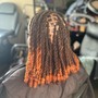 Havana Twists