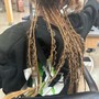 Root Touch Up