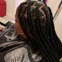 Natural Hairstyles/Braids