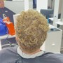 Root Touch Up