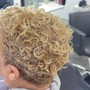 Root Touch Up