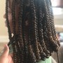 Micro 2 Strand Twists