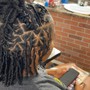 Starter locs