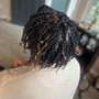 Natural Detangling Treatment