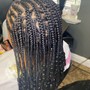 Kid's natural hair braided