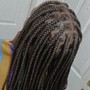 Poetic Justice Braids