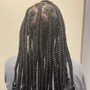 Feed in braids