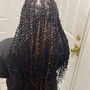 Feed in braids