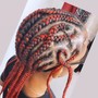 Poetic Justice Braids