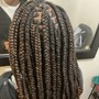 Poetic Justice Braids