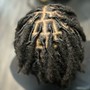 Crown Wash & Retwist