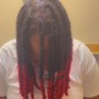 Bleach & Permanent Color, Wash, Retwist