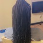 All styles (locs) “Litty Tuesday's” Special (not including color)