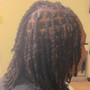 All styles (locs) “Litty Tuesday's” Special (not including color)