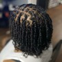 Starter locs