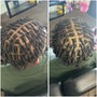 Starter Dreadlocks