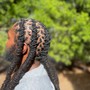 Wash Retwist & Style (Shoulder length)