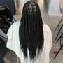 MED Knotless Braids