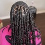 MED Knotless Braids