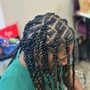 Feed-in’s Braids (9–14)