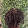 Mini Twists