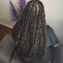 Small Goddess knotless Senegalese twist