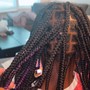 Girl Kid's Braids