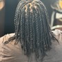 Havana Twists