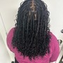 Havana Twists