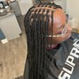 Feed-In Braids (All back)