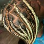 Butterfly  Locs