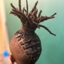 Kids Retwist