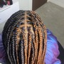 Senegalese/ Marley twists