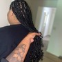 Two strand Twist Style