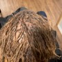 Sister locs/Microlocs Maintenance