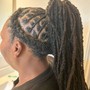 Dreadlocks (Starters ONLY)