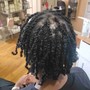 Large  Two Strand Twist/Box braids  on natural hair