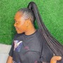 Box Braids ( Hair included)