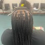 Large feed in Braids