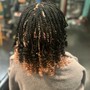 Large feed in Braids